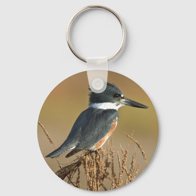 Belted Kingfisher Key Ring (Front)
