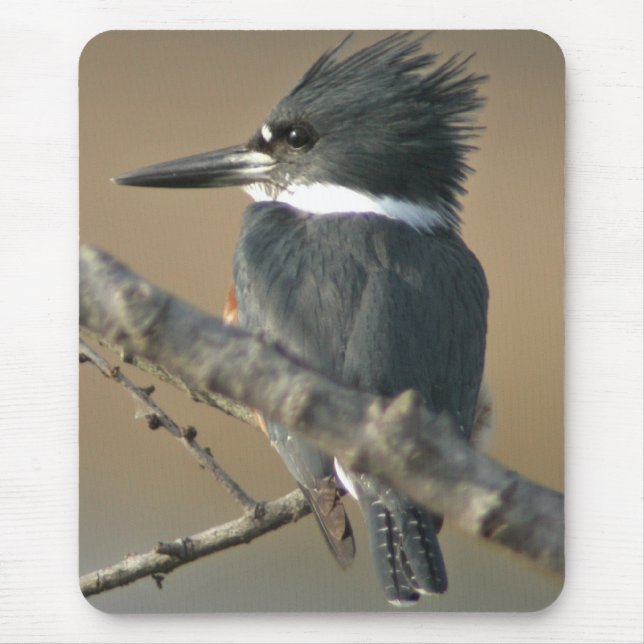 Belted Kingfisher Mouse Mat (Front)