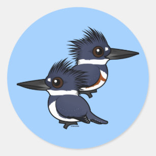 Belted Kingfisher pair Classic Round Sticker