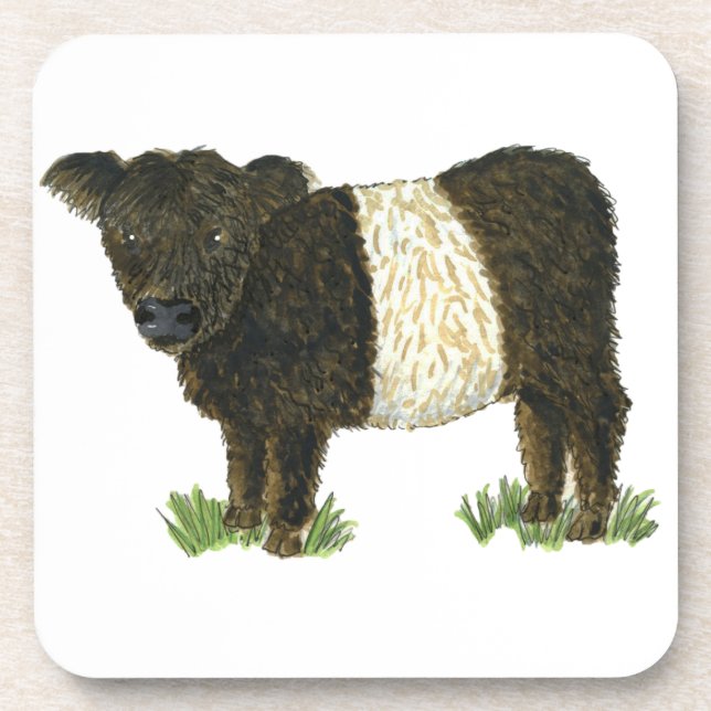 'Beltie' Belted Galloway Coaster (Front)