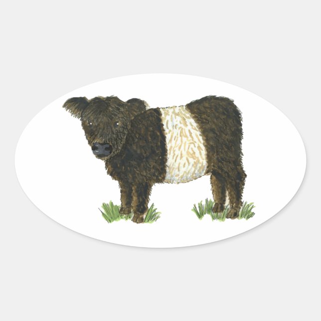 'Beltie' Belted Galloway Oval Sticker (Front)