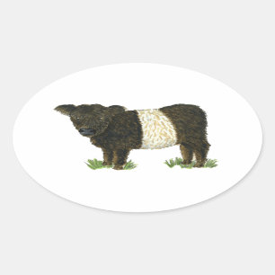 'Beltie' Belted Galloway Oval Sticker