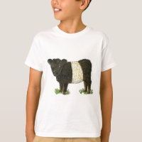 'Beltie' Belted Galloway