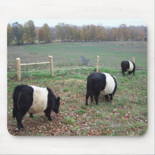 Beltie Cow Herd Along a Trail Mouse Mat