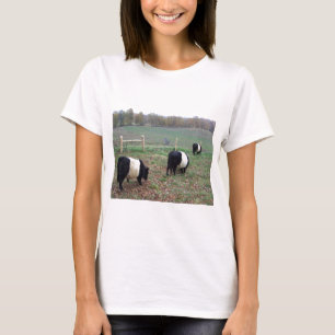 Beltie Cow Herd Along a Trail T-Shirt