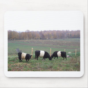 Beltie Cow Herd in Fall Mouse Mat