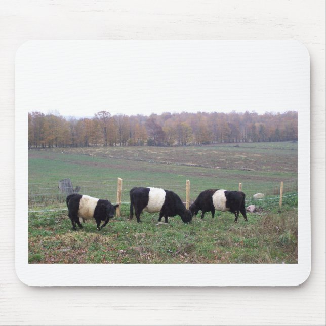 Beltie Cow Herd in Fall Mouse Mat (Front)