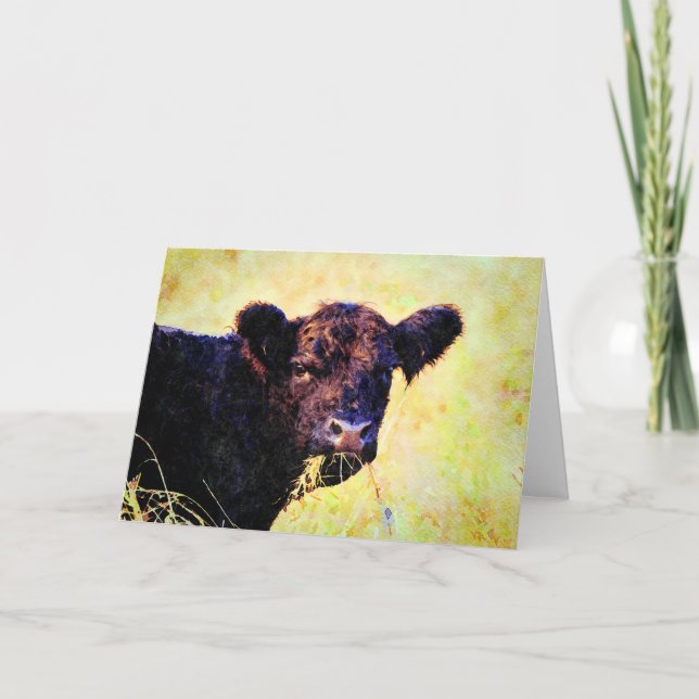 Beltie Cow Watercolor Painting Belted Galloway Art Card (Front)