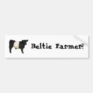 Beltie Farmer Gorgeous Belted Galloway Cow Steer Bumper Sticker