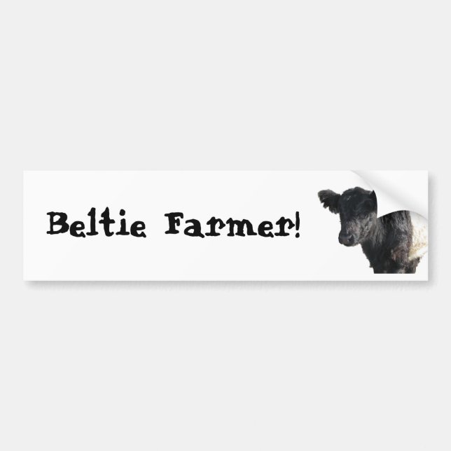 Beltie Farmer Gorgeous Belted Galloway Cow Steer Bumper Sticker (Front)