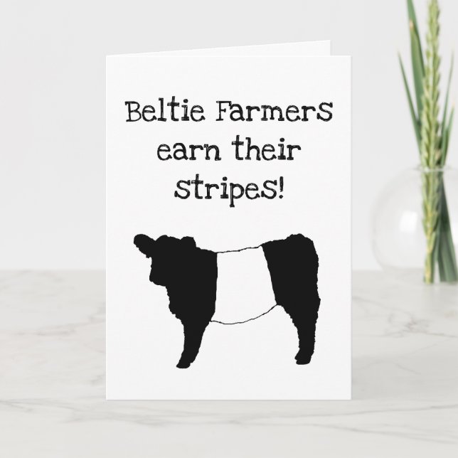 Beltie Farmers Earn their Stripes - Happy Birthday Card (Front)