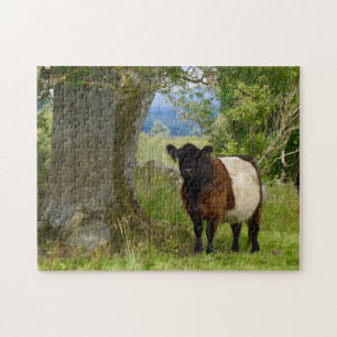 Beltie Puzzle