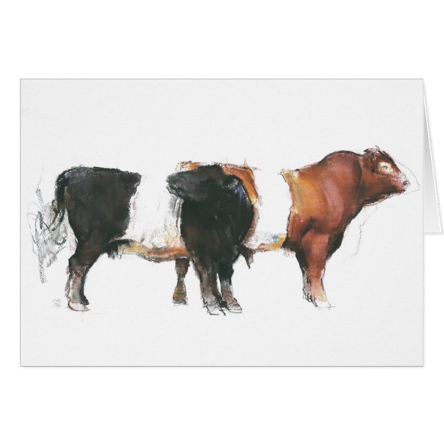 Belties 2006 (Front Horizontal)