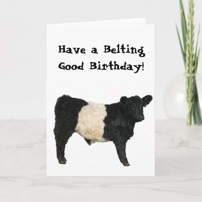 Belting Good Birthday Belted Galloway Beltie Cow Card (Front)