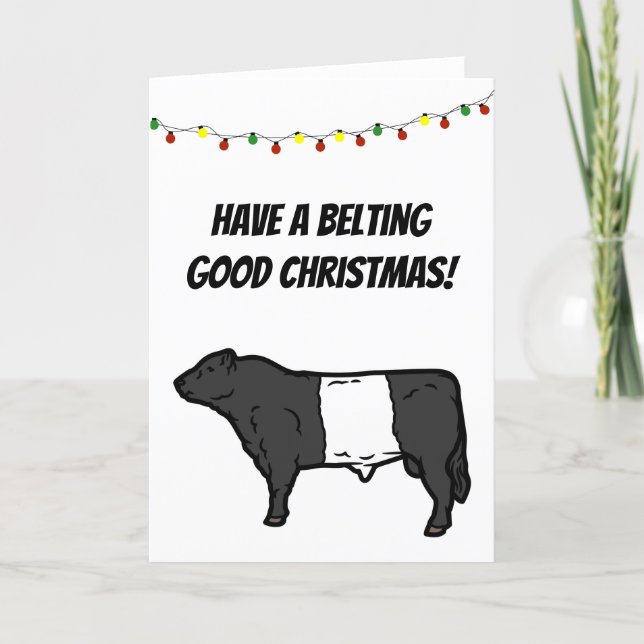 Belting Good Christmas Belted Galloway Beltie Cow  Card (Front)