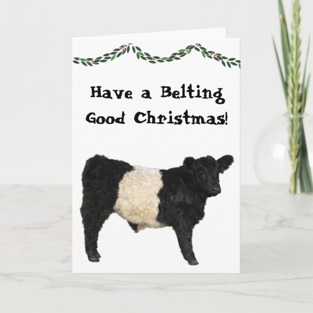 Belting Good Christmas Belted Galloway Beltie Cow Card (Front)