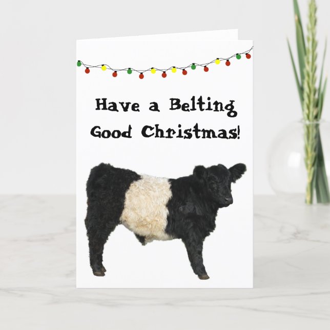 Belting Good Christmas Belted Galloway Beltie Cow Card (Front)