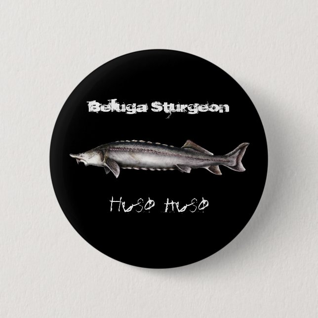 Beluga Sturgeon 6 Cm Round Badge (Front)