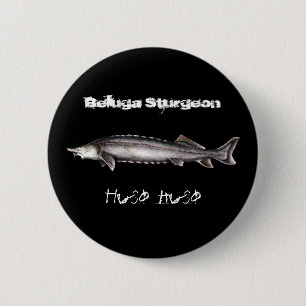 Beluga Sturgeon 6 Cm Round Badge