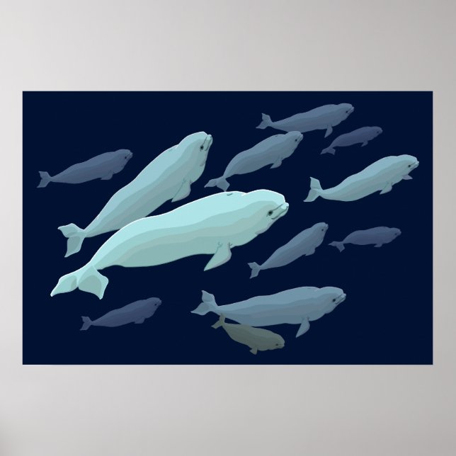 Beluga Whale Art Print Marinelife Whale Painting (Front)