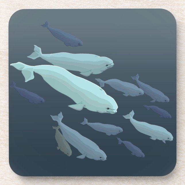 Beluga Whale Coasters Whale Art Drink Coaster (Front)