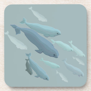 Beluga Whale Coasters Whale Art Drink Coaster