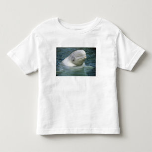 Beluga Whale, Delphinapterus leucas) Toddler T-Shirt