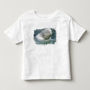 Beluga Whale, Delphinapterus leucas) Toddler T-Shirt