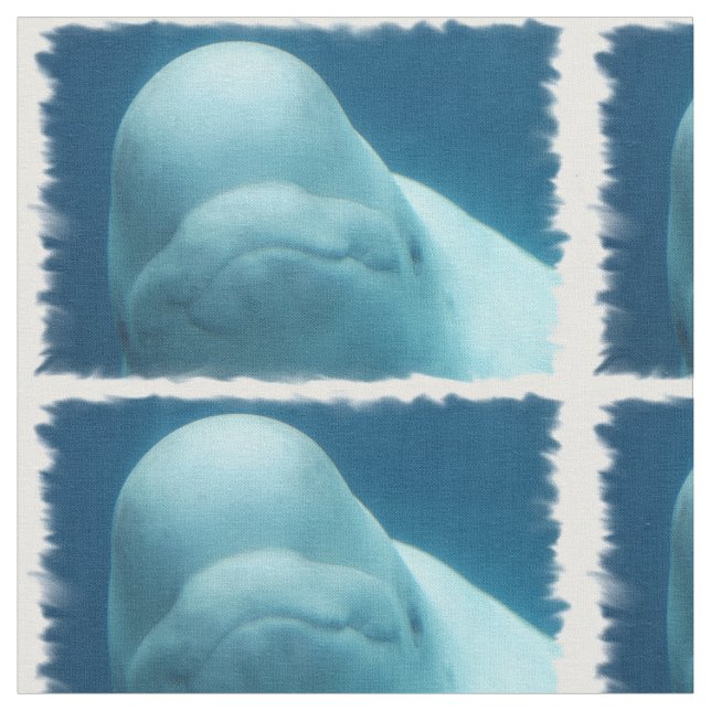 Beluga Whale Fabric (Close Up)
