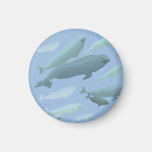 Beluga Whale Fridge Magnet Whale Art Gifts
