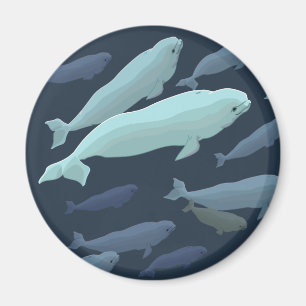 Beluga Whale Fridge Magnet Whale Art Gifts