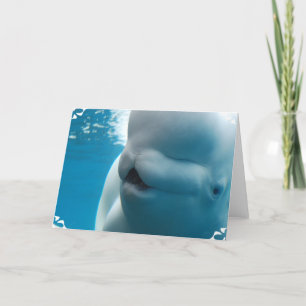 Beluga Whale Greeting Card