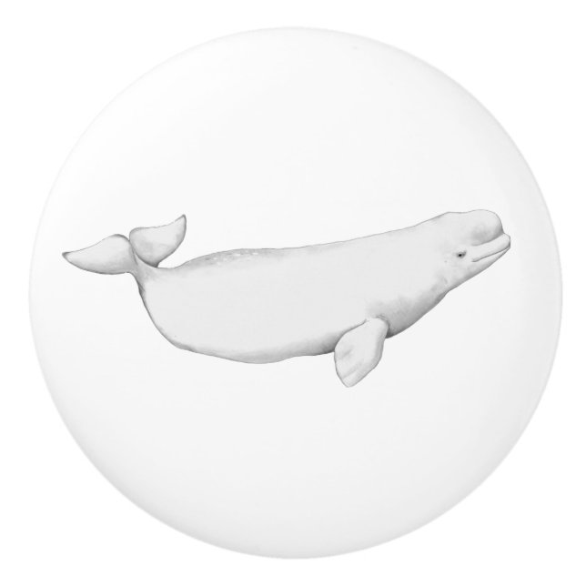Beluga Whale Illustration Whale Lover Gift White  Ceramic Knob (Front)