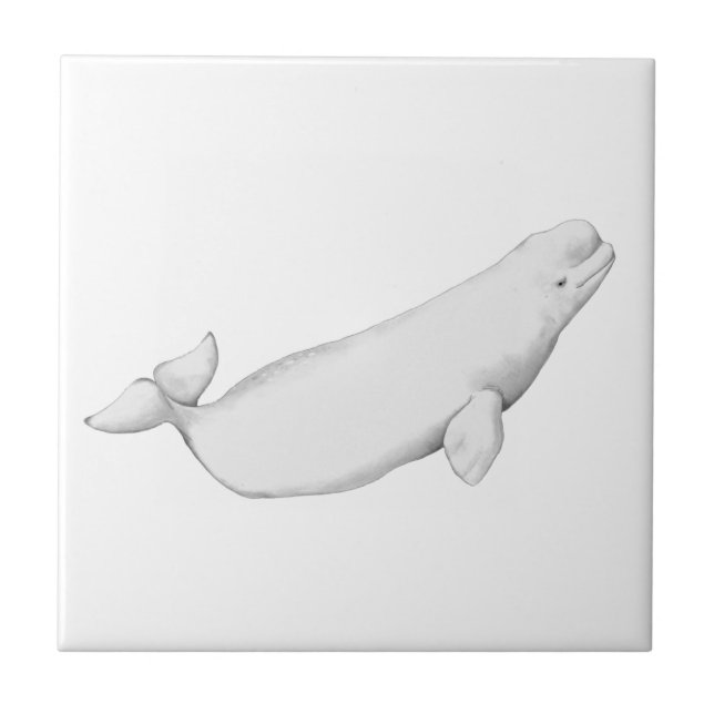 Beluga Whale Illustration Whale Lover Gift White Tile (Front)