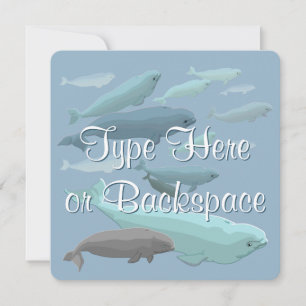 Beluga Whale Invitations Personalised Whale RSVP