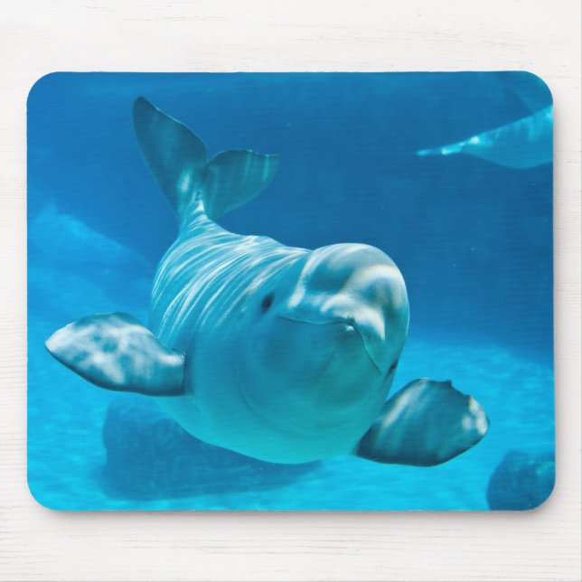 Beluga Whale Mouse Mat (Front)