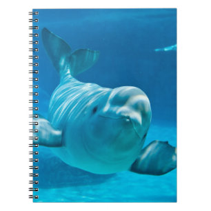 Beluga Whale Notebook