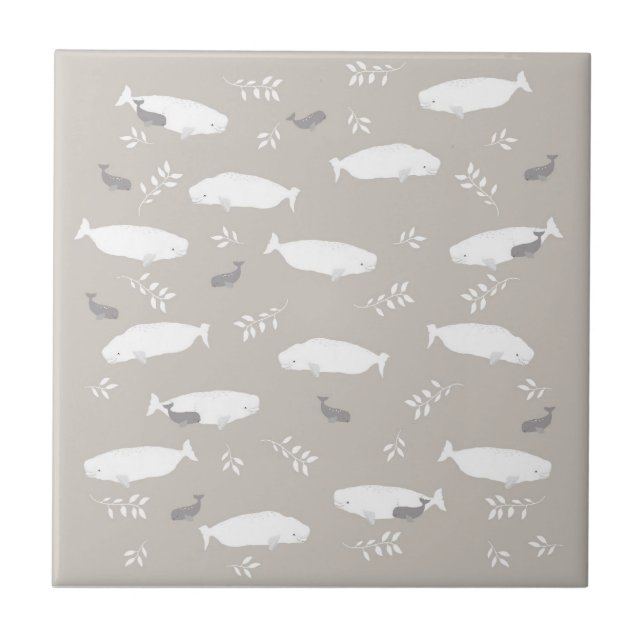 Beluga Whale On Pastel Grey Illustration  Tile (Front)