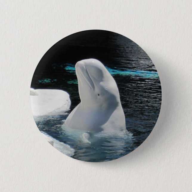 Beluga Whale Pin (Front)