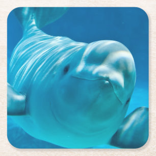 Beluga Whale Square Paper Coaster