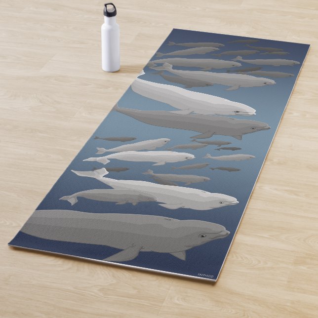Beluga Whale Yoga Mats  (In Situ)