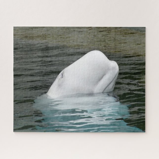 Beluga Whales Jigsaw Puzzle (Horizontal)