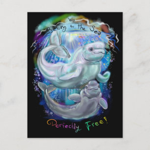 Beluga Whales Postcard