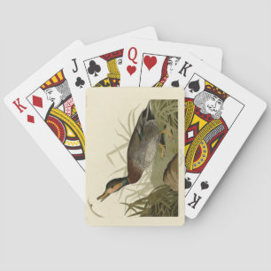 Bemaculated (Brewer's) Duck, Audubon Birds America Playing Cards