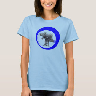 ben banker shirt design