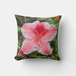 Ben Morrison Azalea (Rhododendron 'Ben Morrison' Cushion
