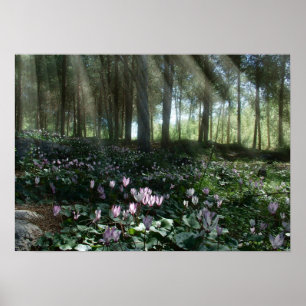 Ben Shemen Forest in Israel, Holy Land Poster