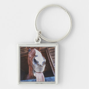 benalamadena costa, malaga, costa del sol, 3 key ring