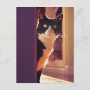 benalamadena costa, malaga, costa del sol, postcard