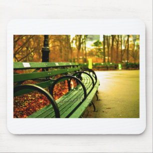 Bench at Central Park, New York City Mouse Mat